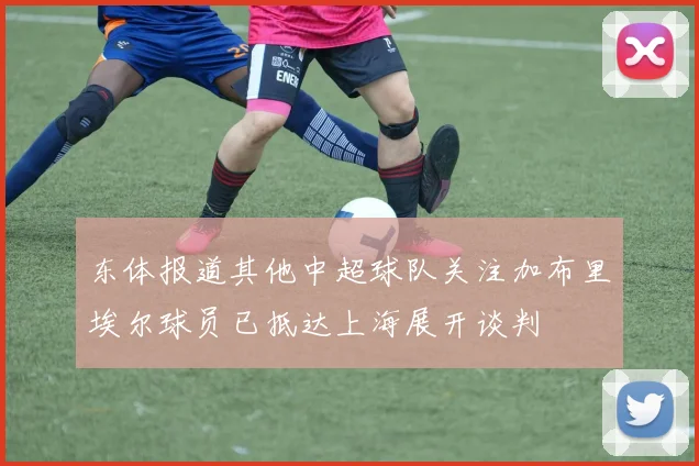 东体报道其他中超球队关注加布里埃尔球员已抵达上海展开谈判