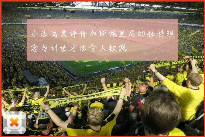 小法高度评价加斯佩里尼的独特理念与训练方法令人钦佩