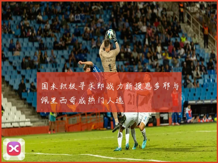 国米积极寻求即战力新援恩多耶与佩里西奇成热门人选