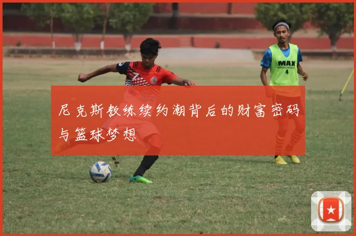 尼克斯教练续约潮背后的财富密码与篮球梦想